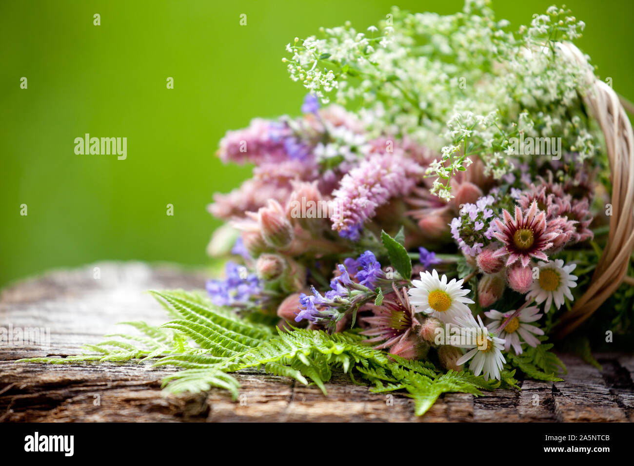 Mazzo di fiori d'alta montagna Foto stock - Alamy