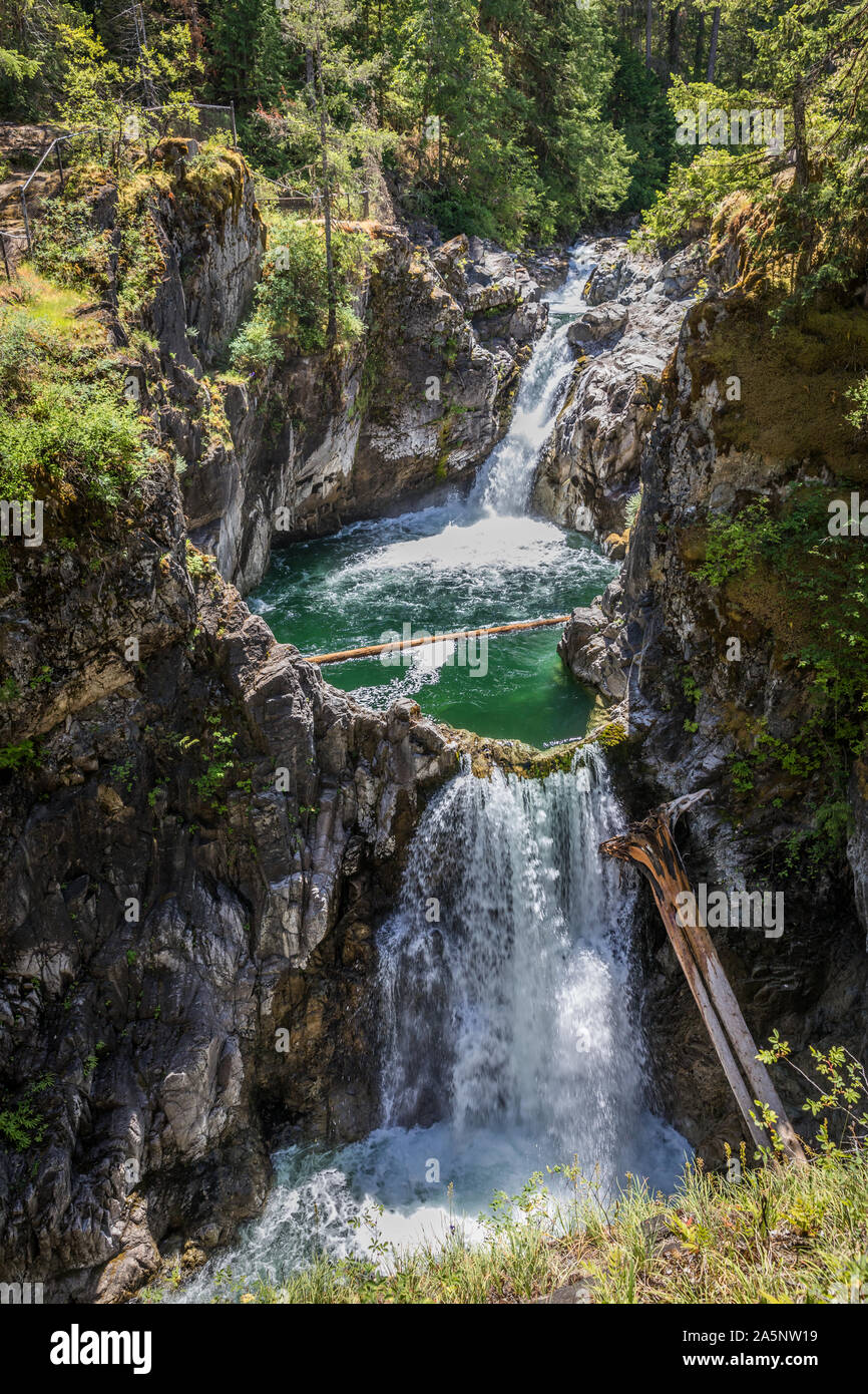 Little Qualicum Falls Provincial Park, l'isola di Vancouver, British Columbia, Canada Foto Stock