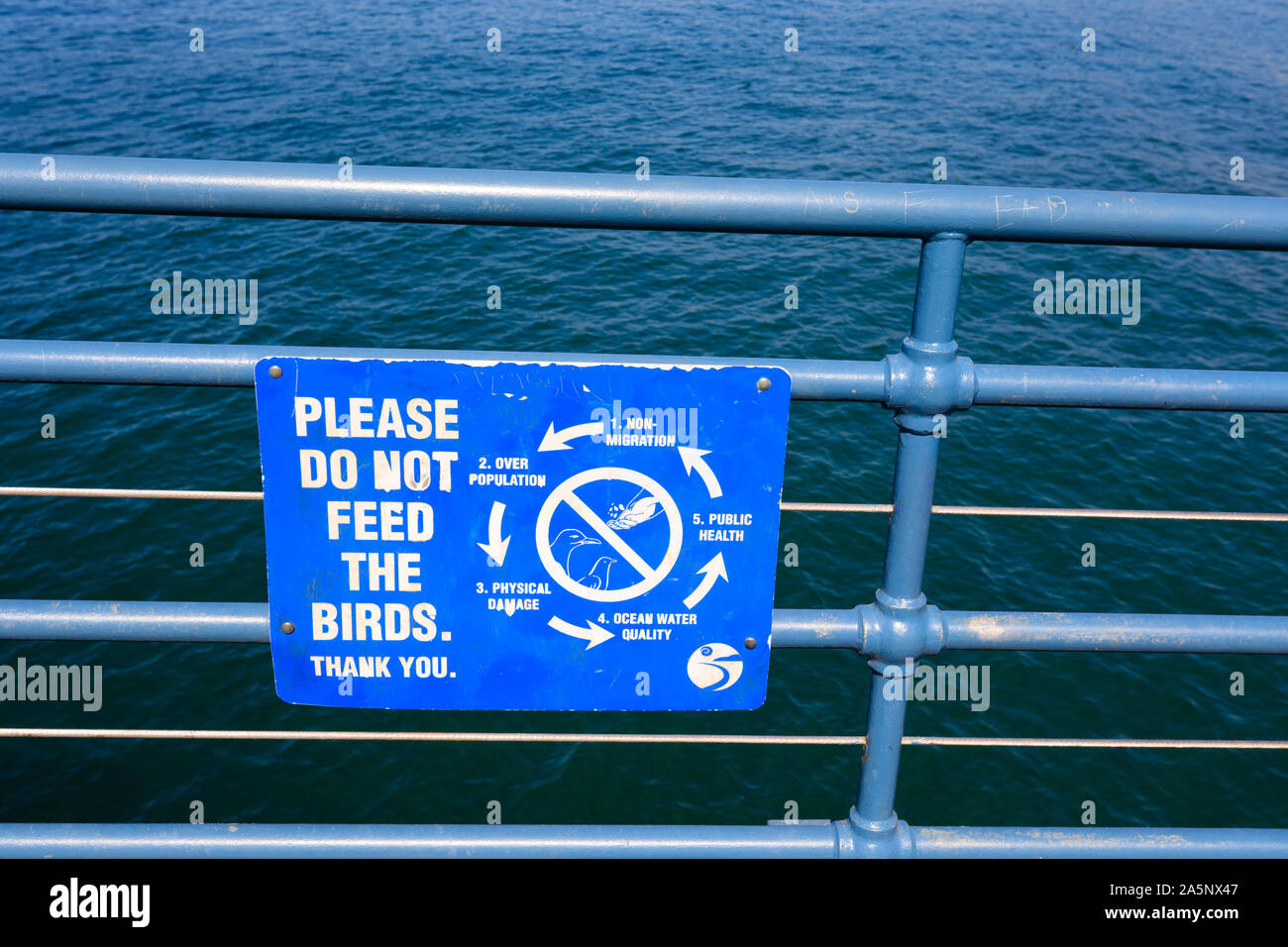"Non alimentare gli uccelli" segno sul molo di Santa Monica, Los Angeles, California, Stati Uniti d'America. Stati Uniti d'America. Ottobre 2019 Foto Stock
