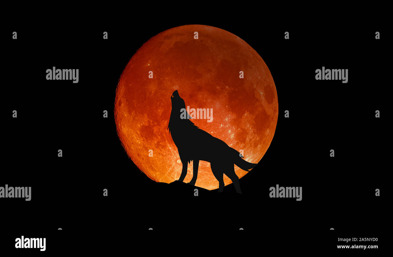 Lupo Che Ulula Alla Luna Stencil