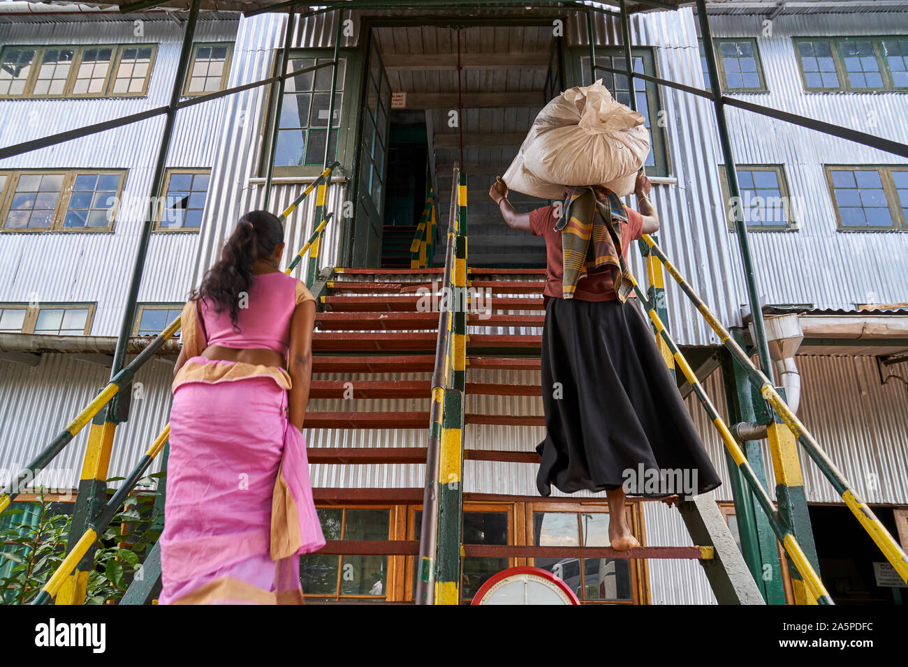 Due donne che prendono il tè in su scalini alla fabbrica del tè in Ceylon/Sri Lanka Foto Stock