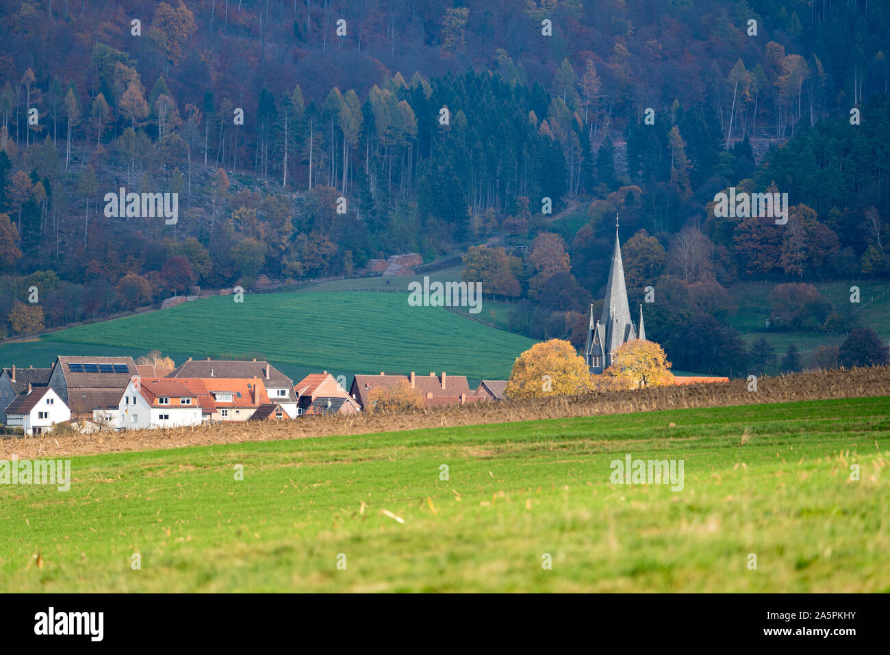 Bodenfelde, Distretto di Northeim, Bassa Sassonia, Germania, Europa Foto Stock