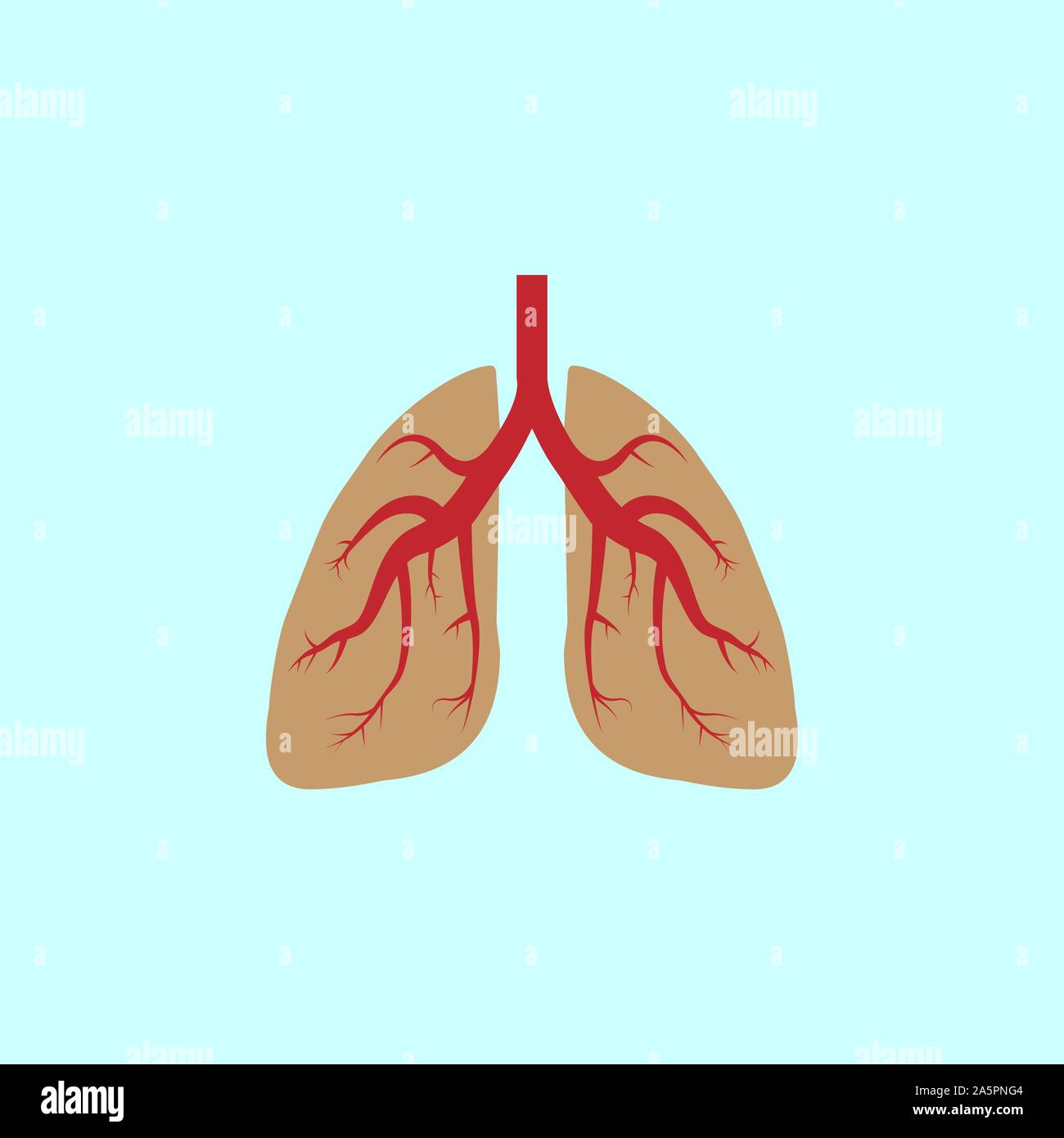 I polmoni, icona del medico. Illustrazione Vettoriale, design piatto. Illustrazione Vettoriale