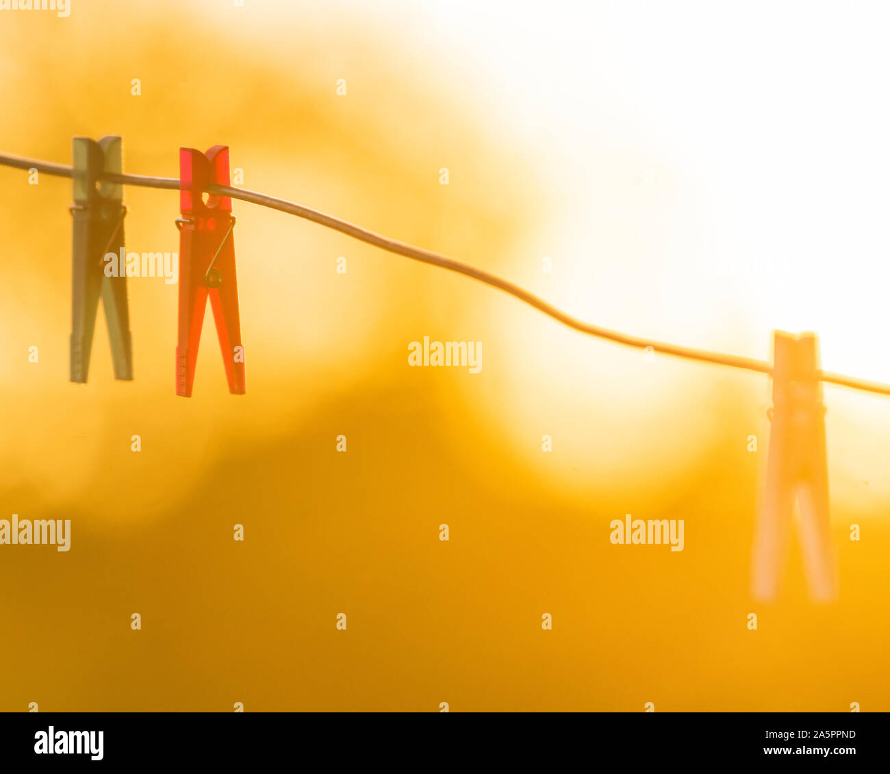 Clothespins sul filo Foto Stock