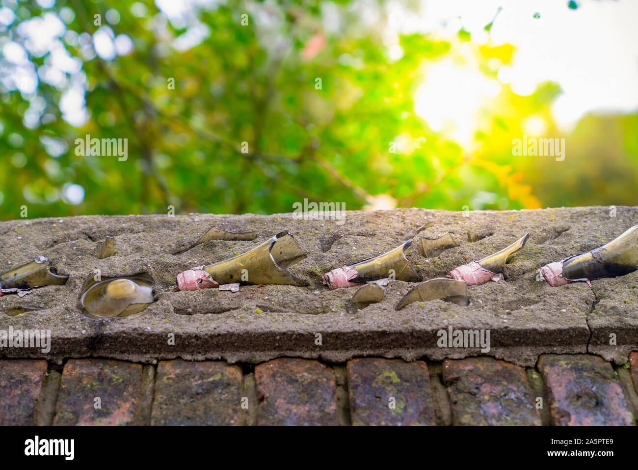 Vista dettagliata sul muro di casa top, sharp il vetro si frantuma come protezione contro le effrazioni, Brugge, Belgio Foto Stock