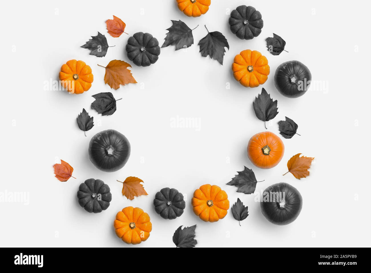 Autunno Autunno sfondo contemporaneo composizione con zucche e foglie in una forma circolare. Foto Stock
