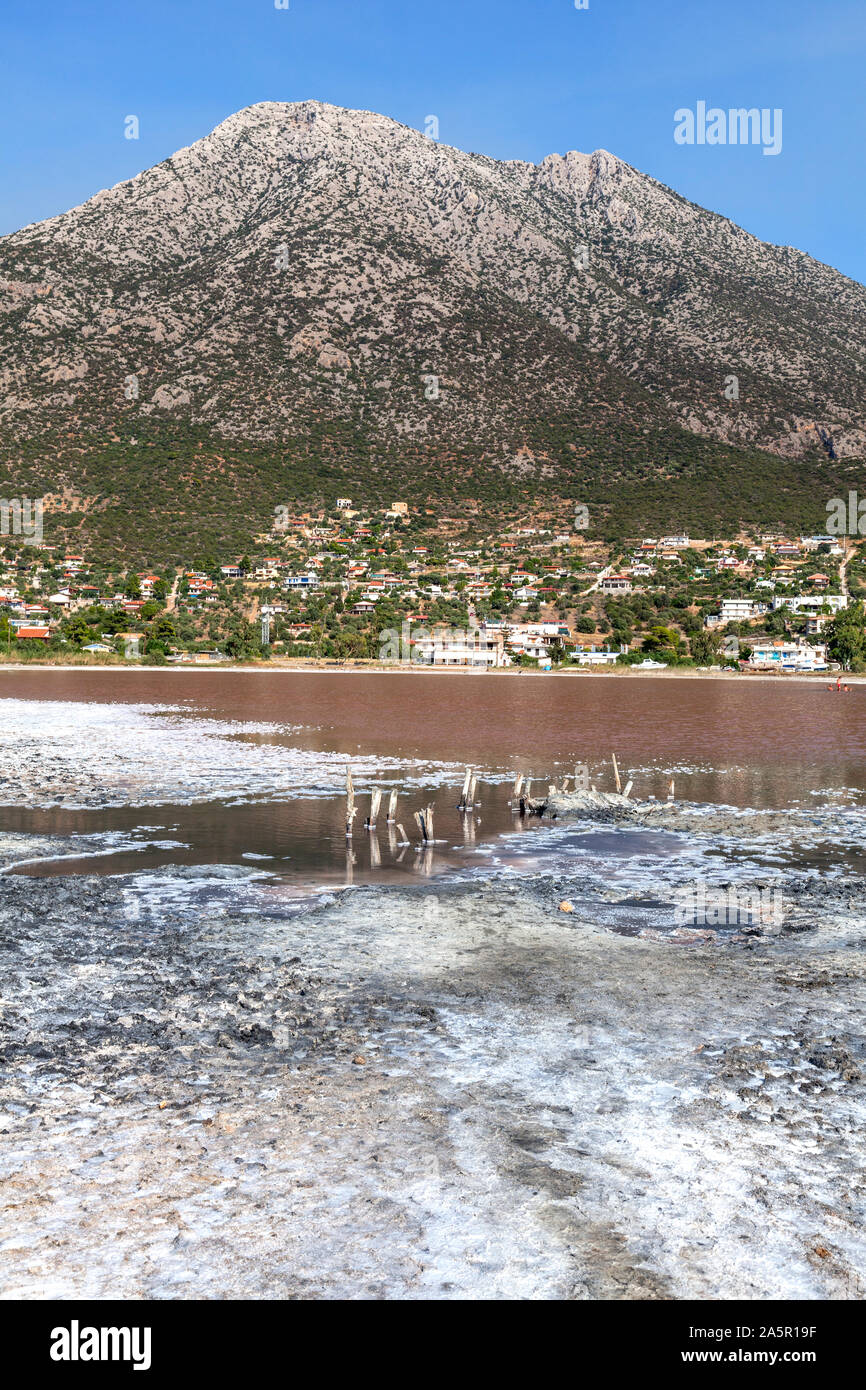 Sea Salt Lake Aliki, Beozia,Grecia. Foto Stock