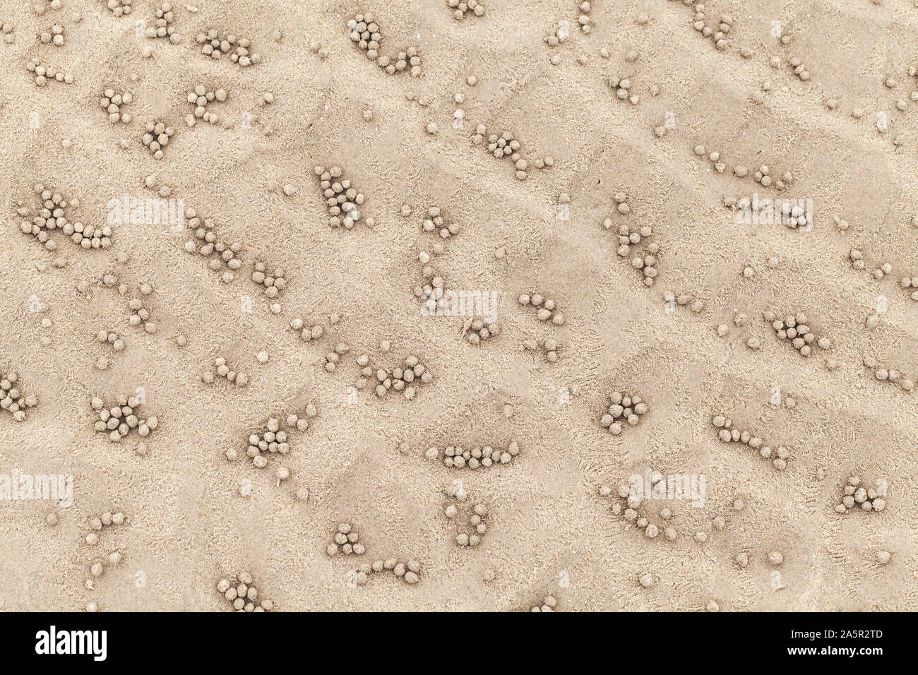 Piccole sfere sulla sabbia, schema naturale realizzato da sabbia gorgogliatore granchi o sabbia-gorgogliatori. Foto Stock