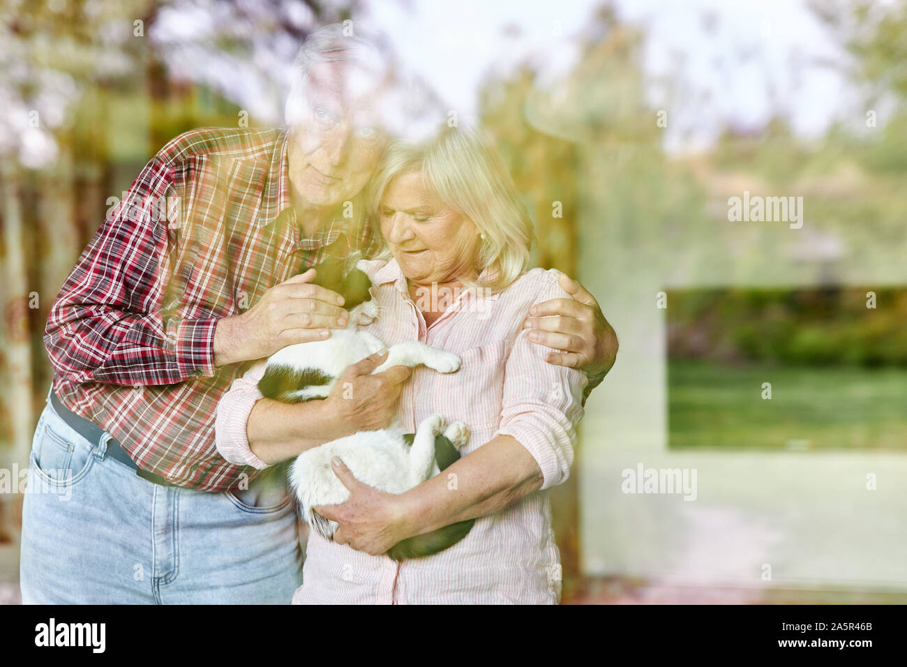Felice coppia di anziani con gatto come un pet alla finestra del soggiorno Foto Stock
