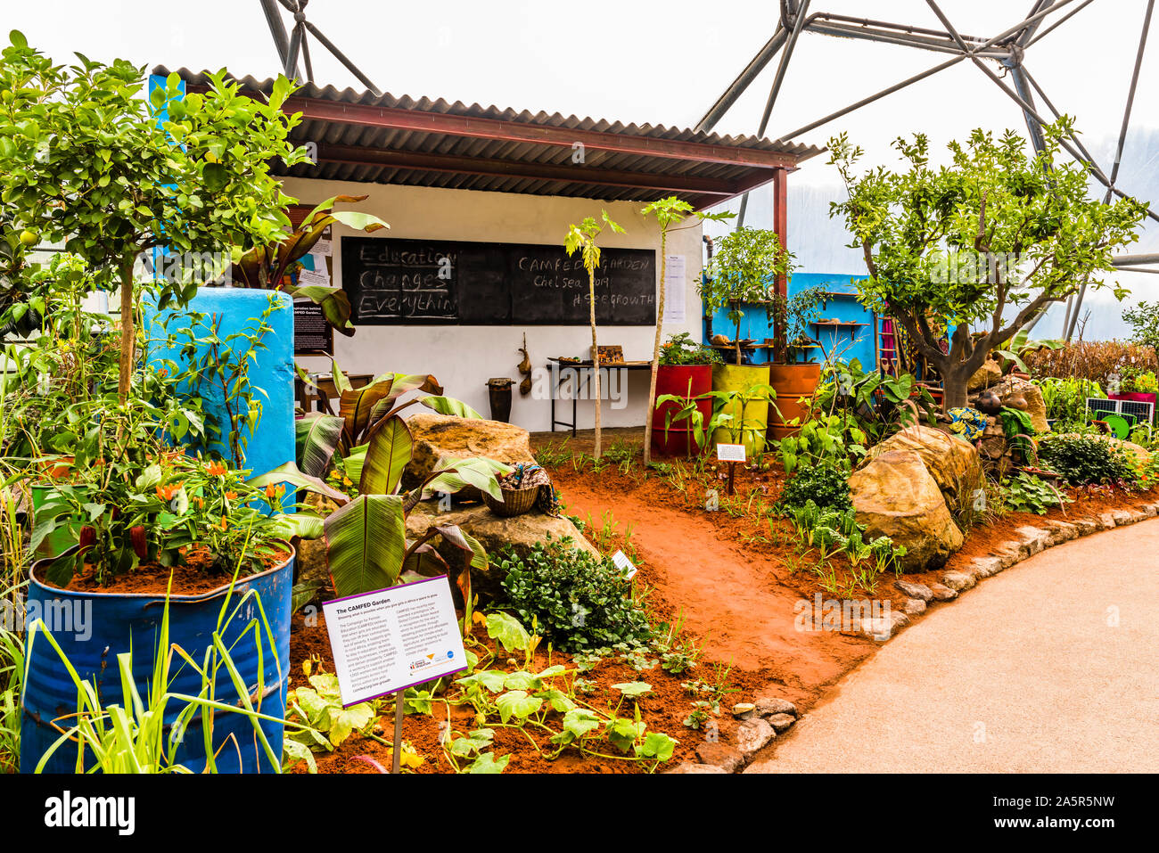 La medaglia d'oro vincendo RHS Chelsea Flower Show 2019 CAMFED Giardino ri-costruito all'Eden Project, Cornwall, Regno Unito Foto Stock