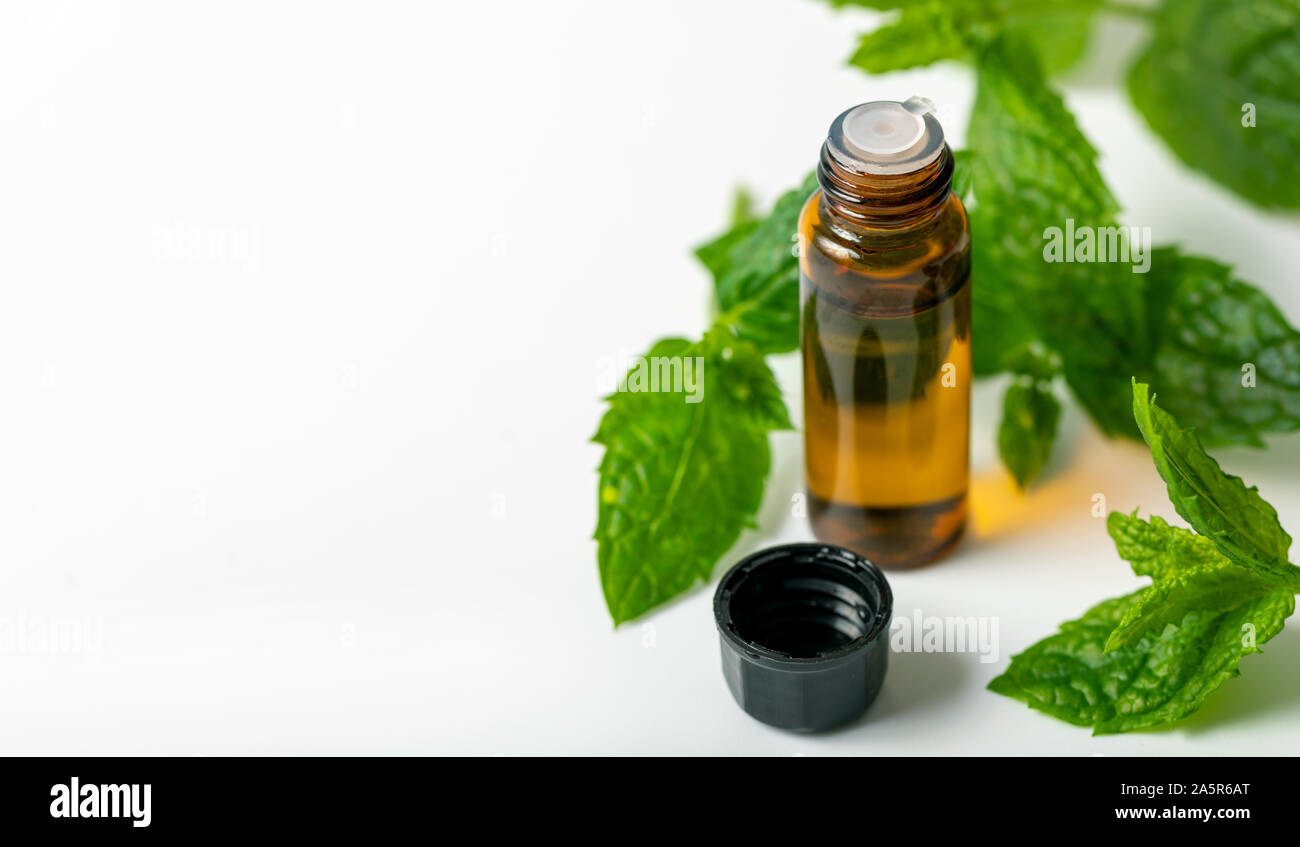 Olio essenziale di menta bottiglia e foglia verde su sfondo bianco con spazio di copia Foto Stock