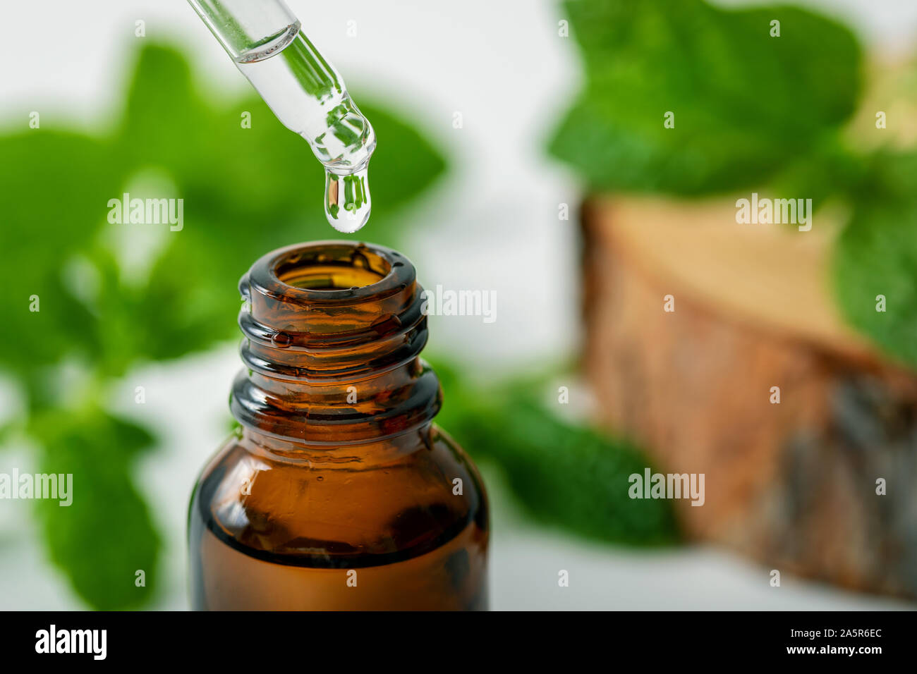 Olio essenziale di menta goccia cade da un contagocce nella bottiglia Foto Stock