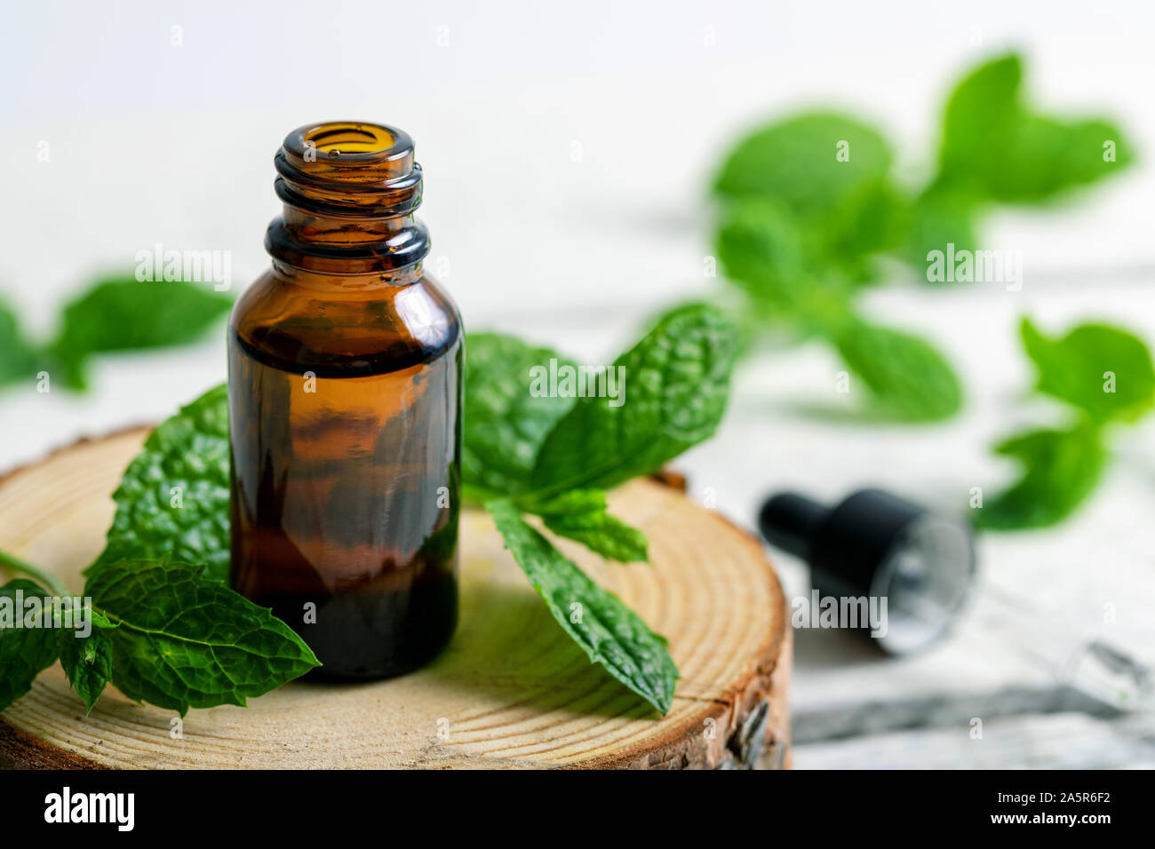 Olio essenziale di menta bottiglia con foglia verde sul tampone in legno Foto Stock