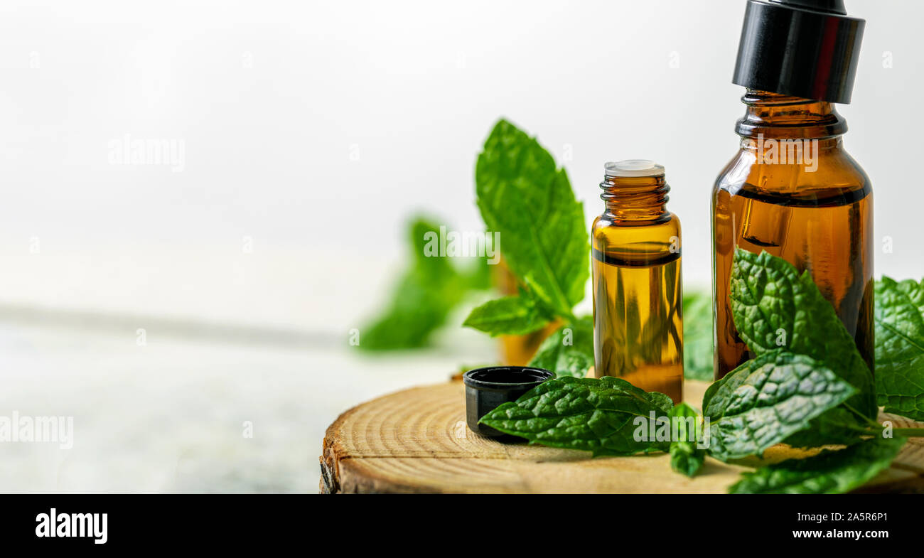 Sfondo spa - olio essenziale di menta bottiglie e foglia verde con spazio di copia Foto Stock
