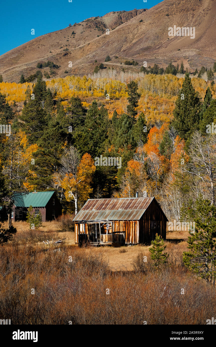Pioneer Cabin in Sierra Nevada in caduta. California USA Foto Stock