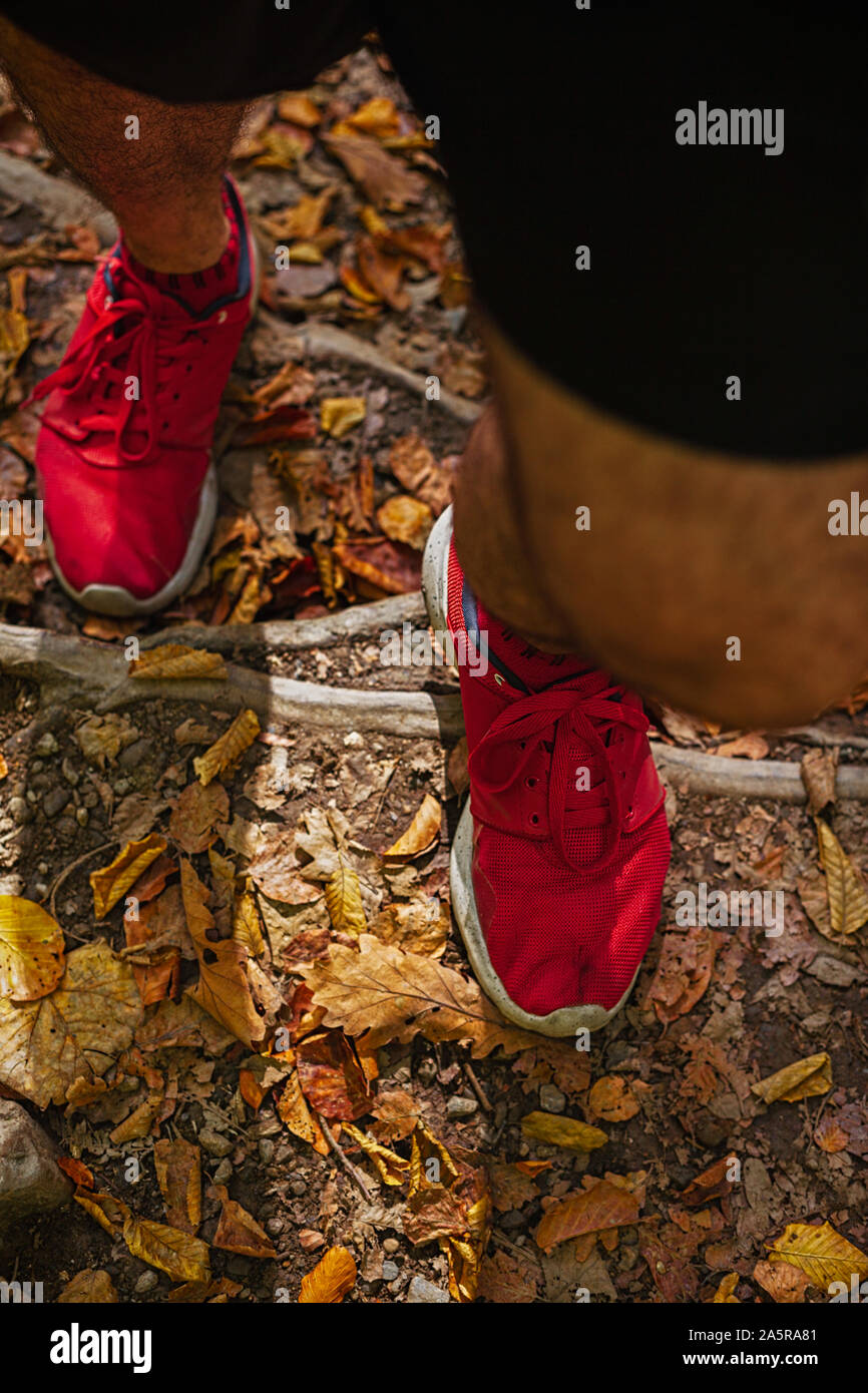 Gambe maschio su una foresta escursioni sentiero coperto di foglie di autunno, andando fino Foto Stock