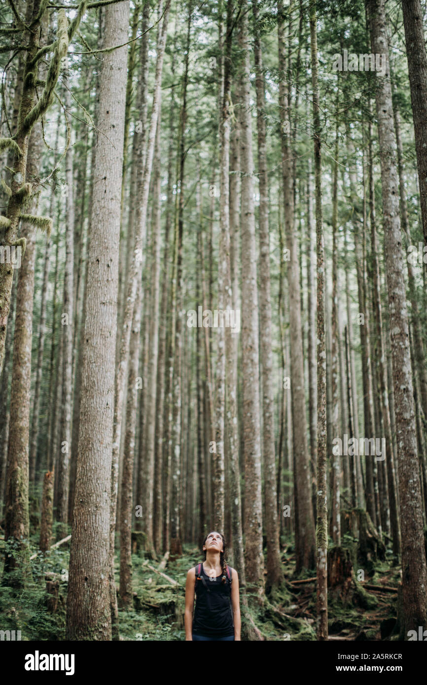 Una femmina di escursionista guarda gli alberi in una foresta a Washington Foto Stock