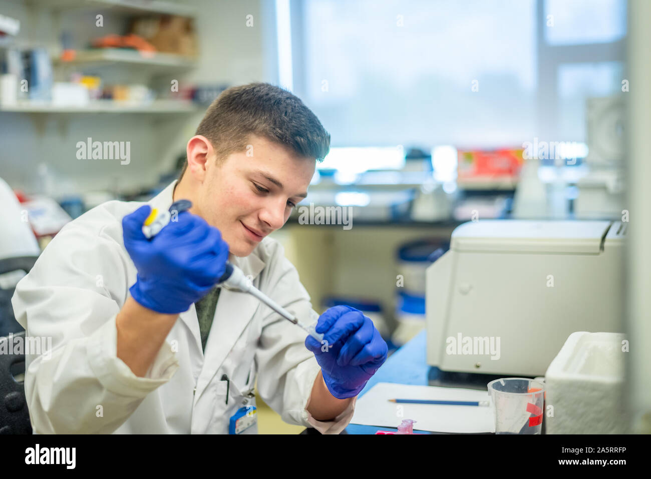 Giovane studente di scienze che effettua esperimenti biotecnologici in laboratorio Foto Stock