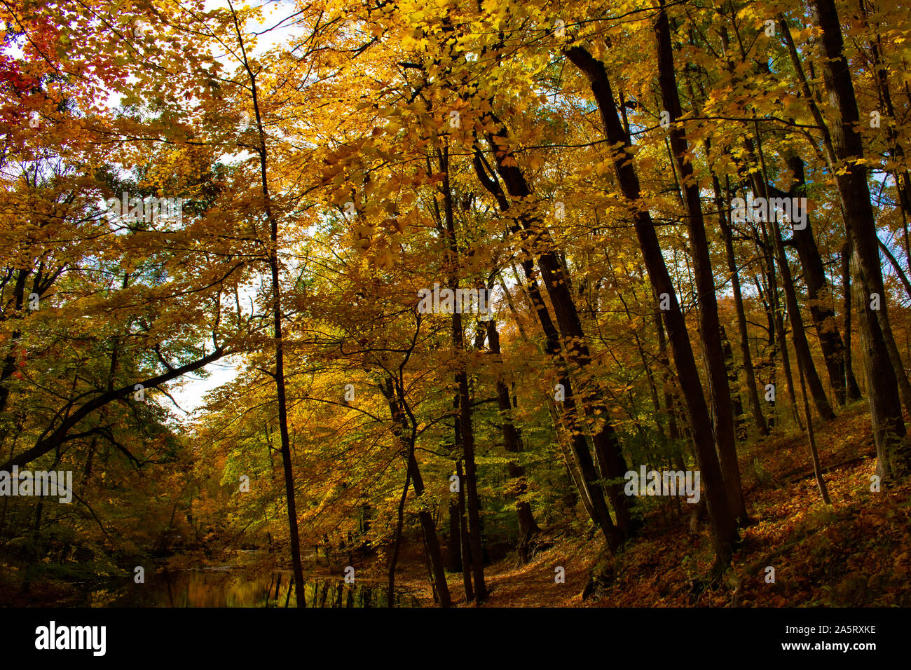 Autunno Scena di fiume in posizione di parcheggio Foto Stock