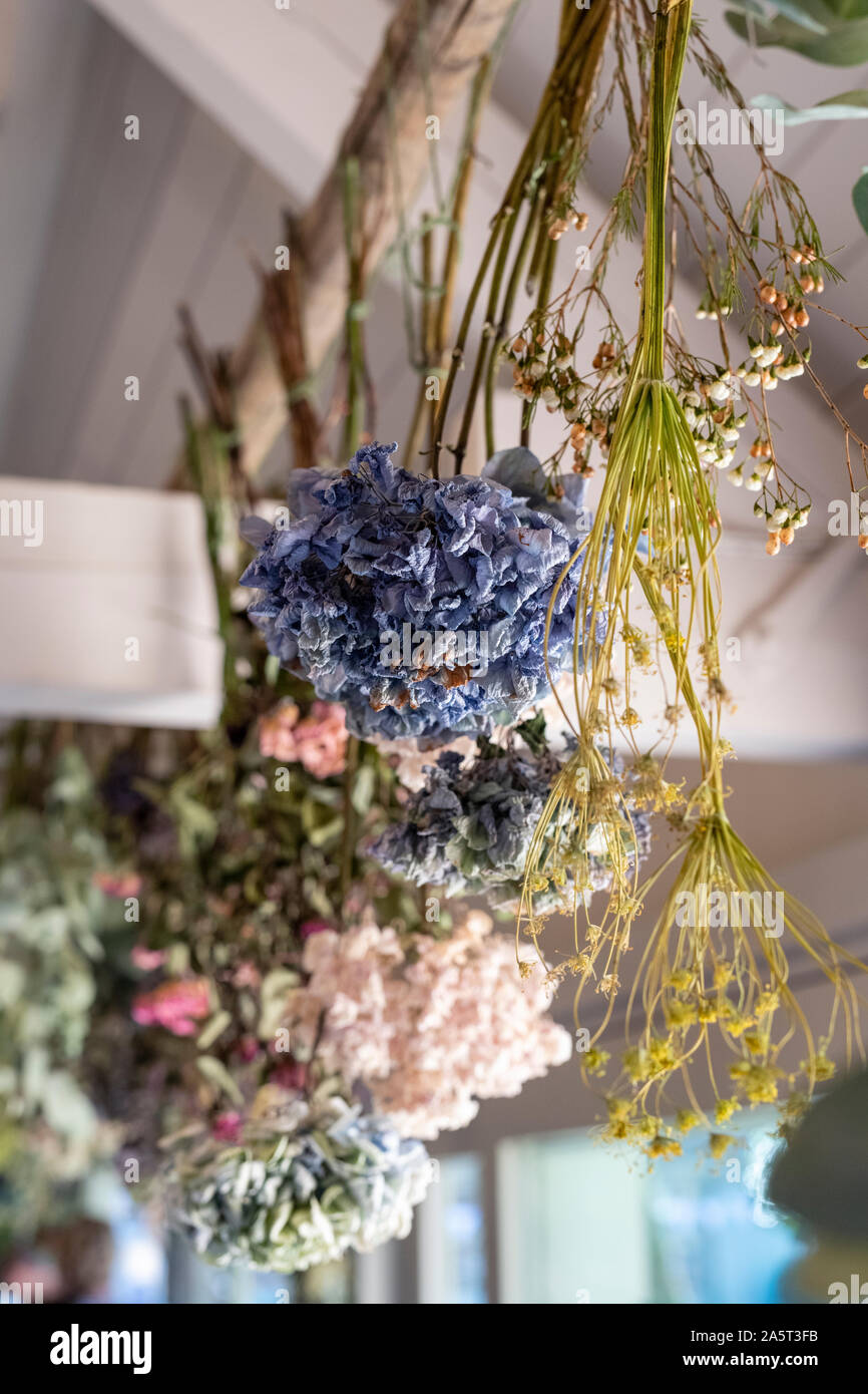 Colorati bouquet di fiori secchi. Inghilterra Foto Stock