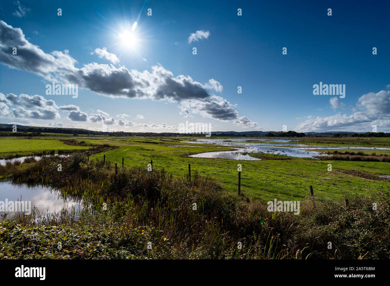 Le zone umide nella Riserva naturale del paesaggio sotto la forte luce solare Foto Stock