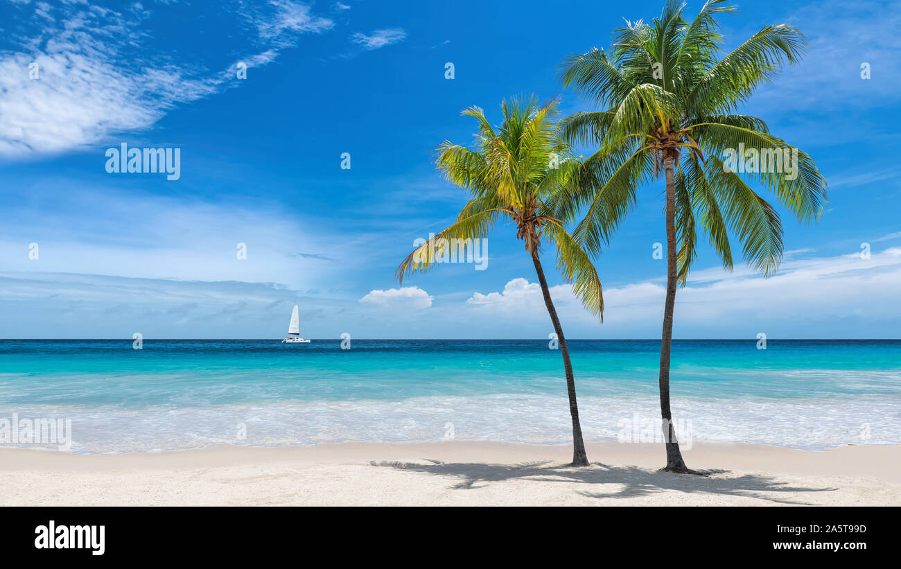 Spiaggia tropicale con palme e mare turchese in isola dei Caraibi. Foto Stock