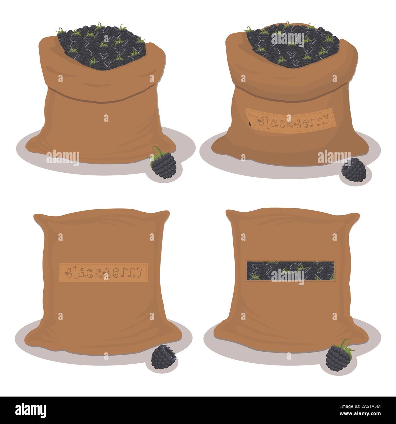 Illustrazione Vettoriale per sacchi riempiti con black berry blackberry, lo stoccaggio in sacchi. Blackberry disegno costituito da alimenti maturi, prodotto grezzo su open Sac Illustrazione Vettoriale
