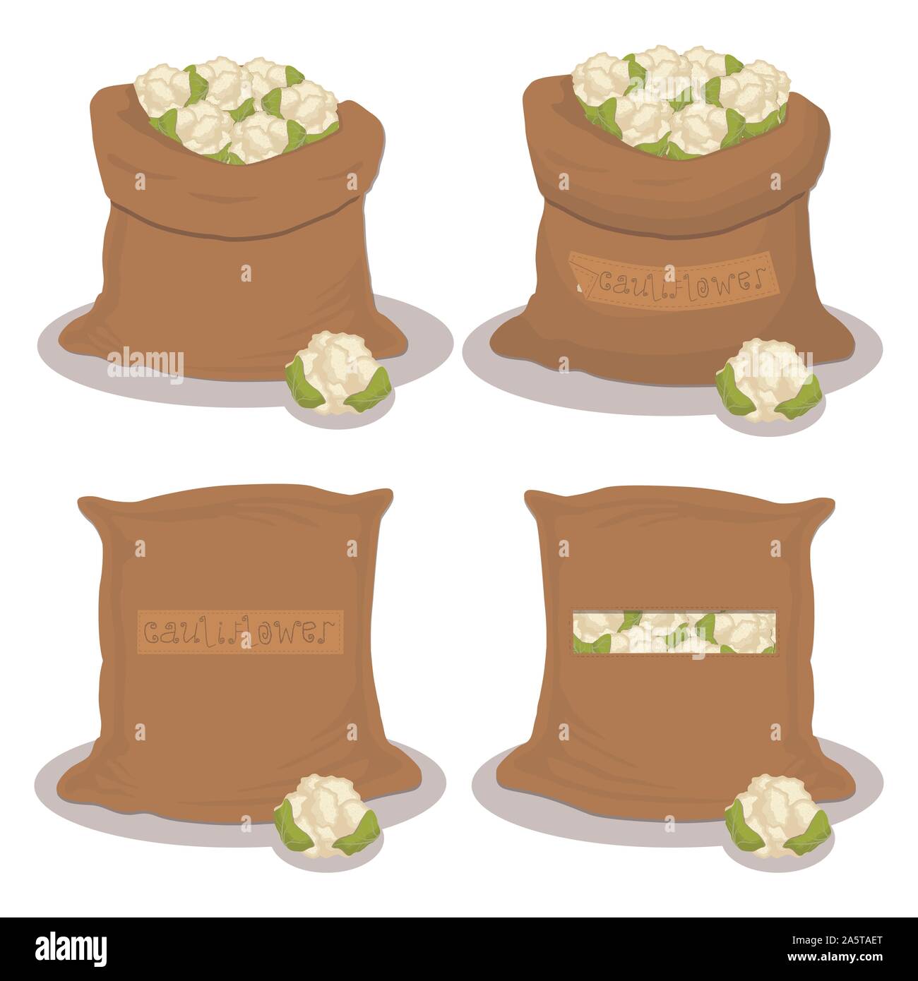 Illustrazione Vettoriale per sacchi riempiti con verdura cavolfiore, storage in sacchi. Il cavolfiore disegno costituito da alimenti maturi, prodotto grezzo su open Sac Illustrazione Vettoriale