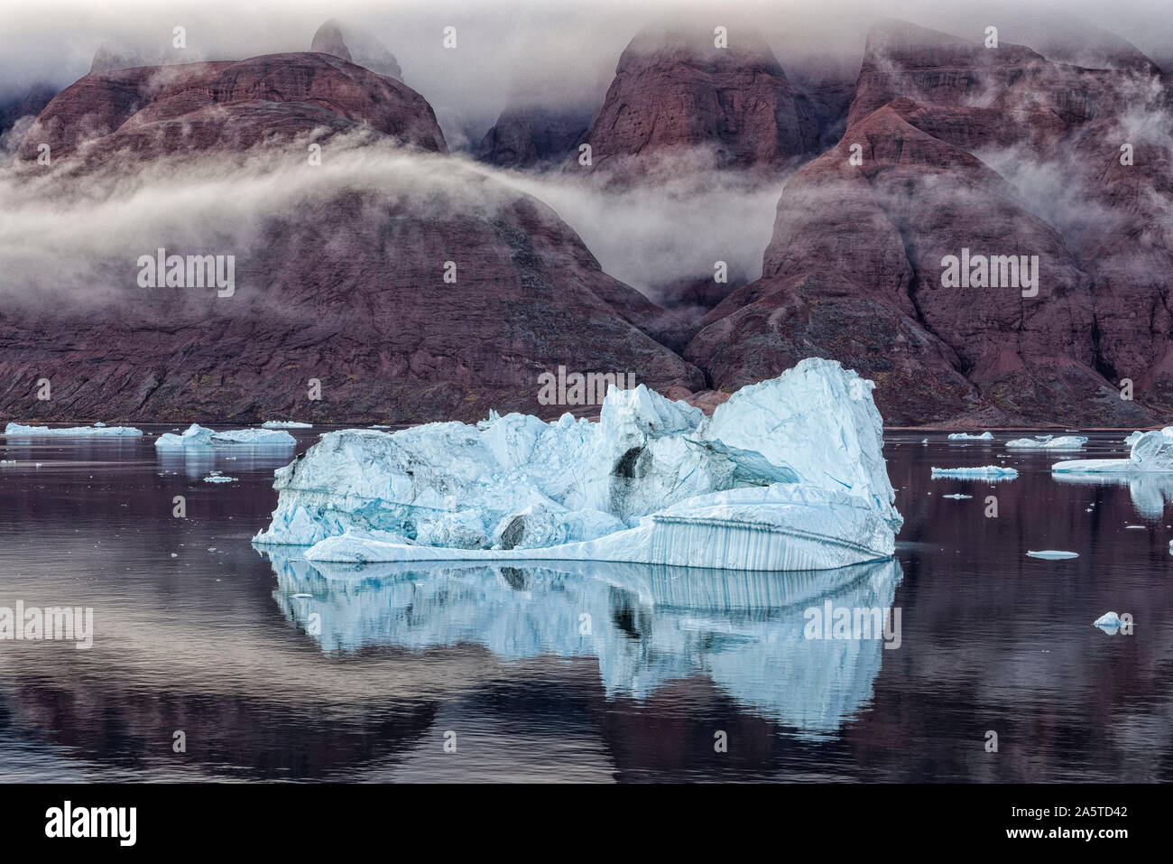 Iceberg galleggianti in serata, Scoresby Sund, Kangertittivaq, Groenlandia, Danimarca Foto Stock