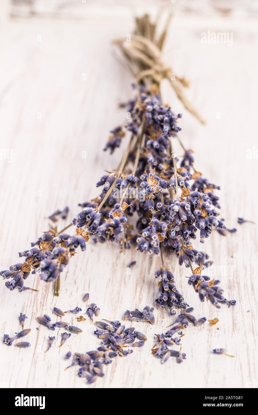 Piante di guarigione: profumo di lavanda in legno bianco Foto Stock