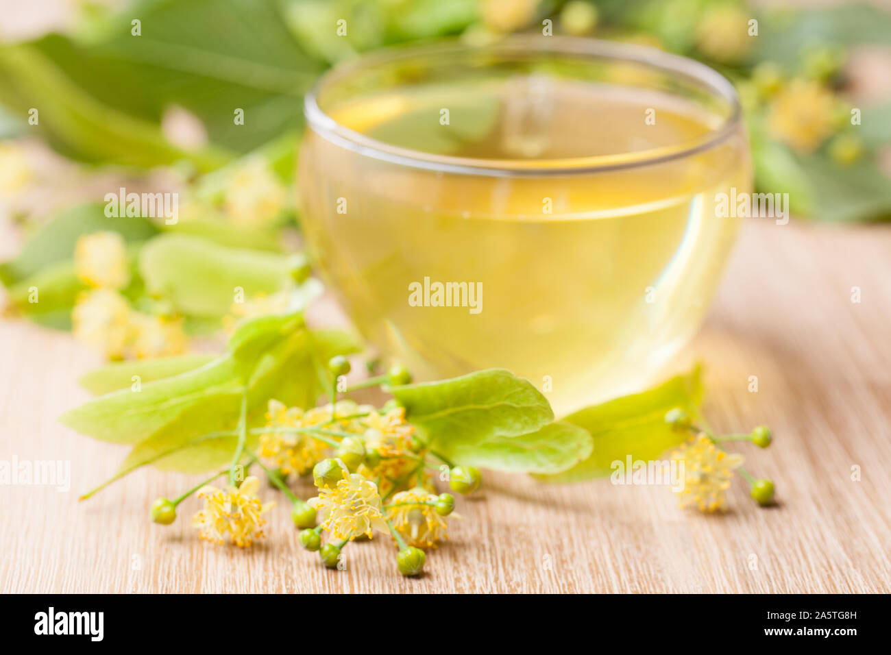 Fiori di tiglio davanti a una tazza di tè Foto Stock