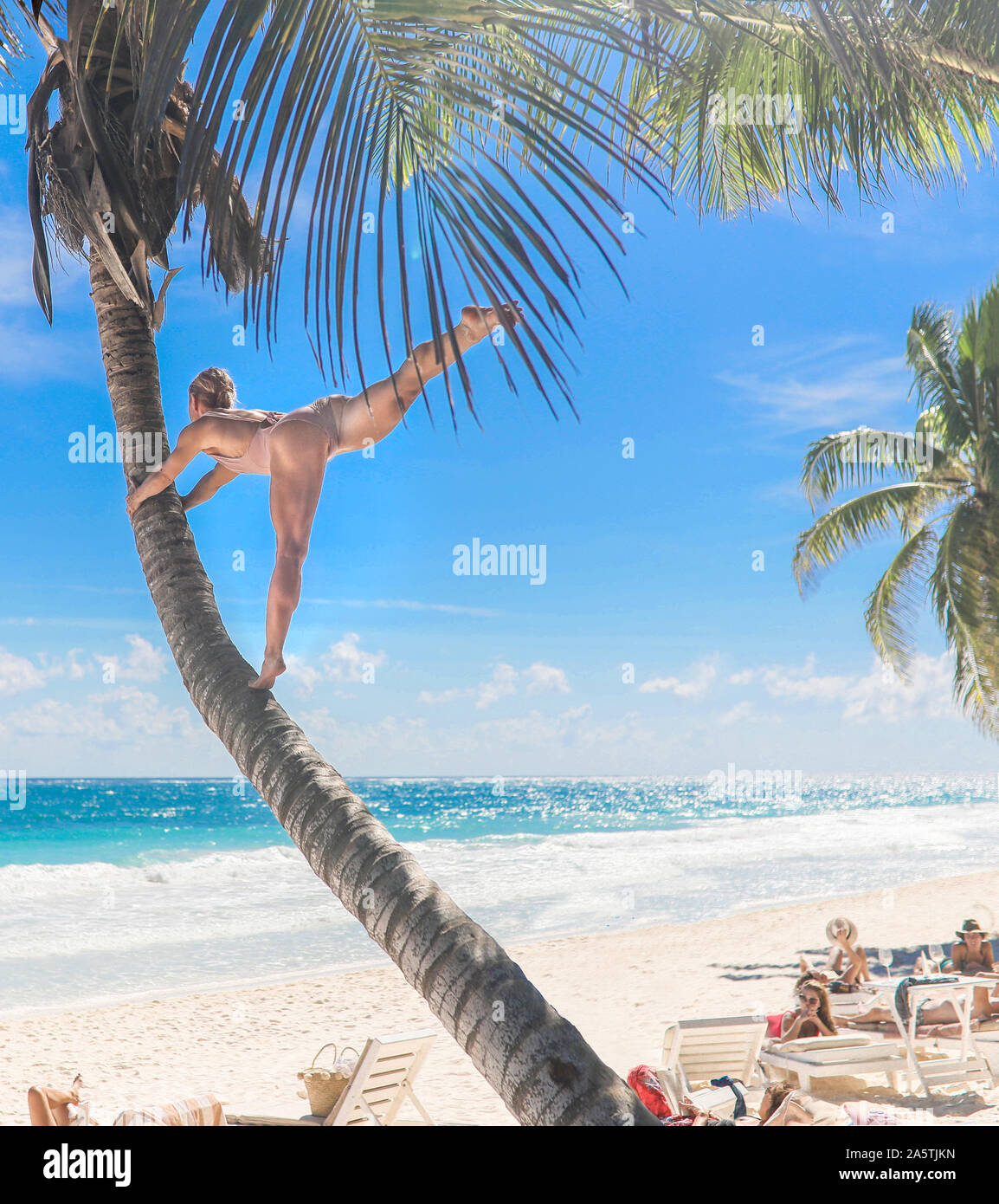 Donna climbing Palm tree in costume da bagno Foto Stock