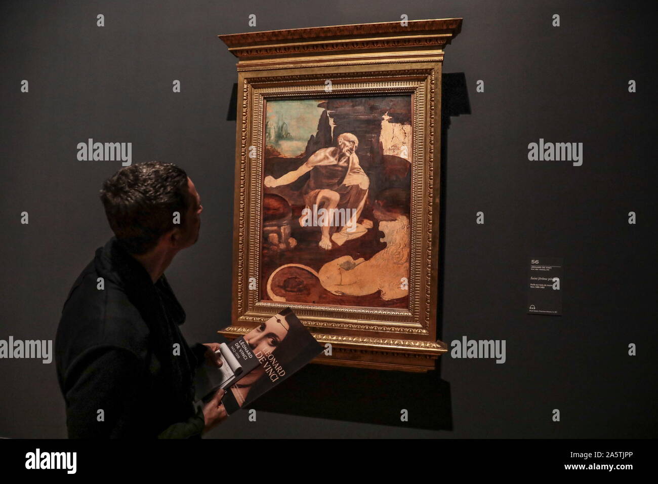LEONARDO DA VINCI mostra al Museo del Louvre a Parigi Foto Stock LEONARDO DA VINCI mostra al Museo del Louvre a Parigi Foto Stock