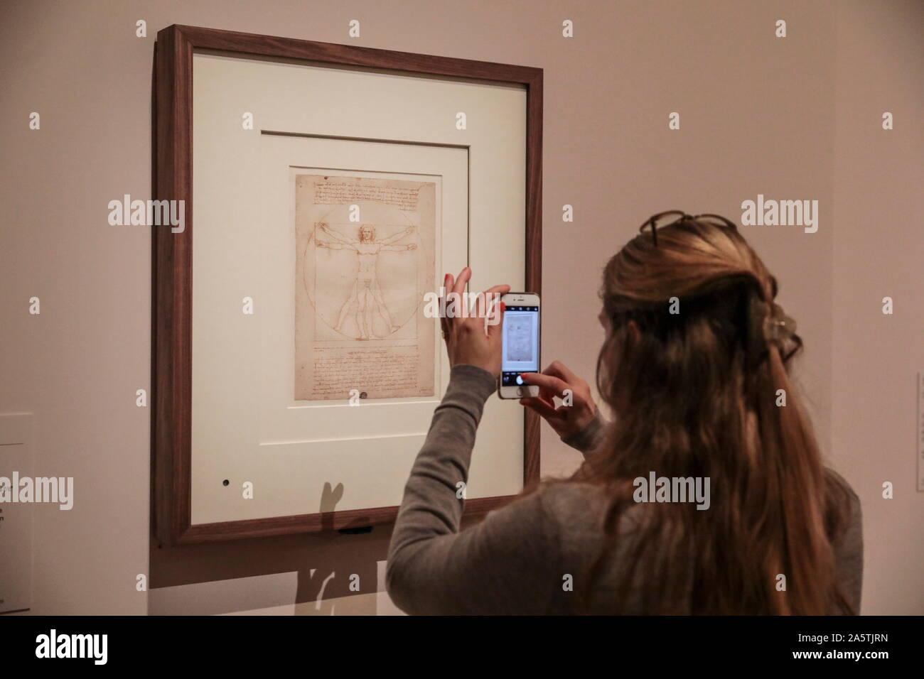 LEONARDO DA VINCI mostra al Museo del Louvre a Parigi Foto Stock LEONARDO DA VINCI mostra al Museo del Louvre a Parigi Foto Stock