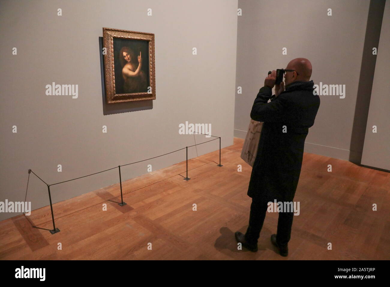 LEONARDO DA VINCI mostra al Museo del Louvre a Parigi Foto Stock LEONARDO DA VINCI mostra al Museo del Louvre a Parigi Foto Stock