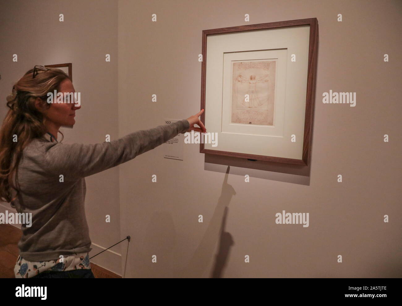 LEONARDO DA VINCI mostra al Museo del Louvre a Parigi Foto Stock LEONARDO DA VINCI mostra al Museo del Louvre a Parigi Foto Stock