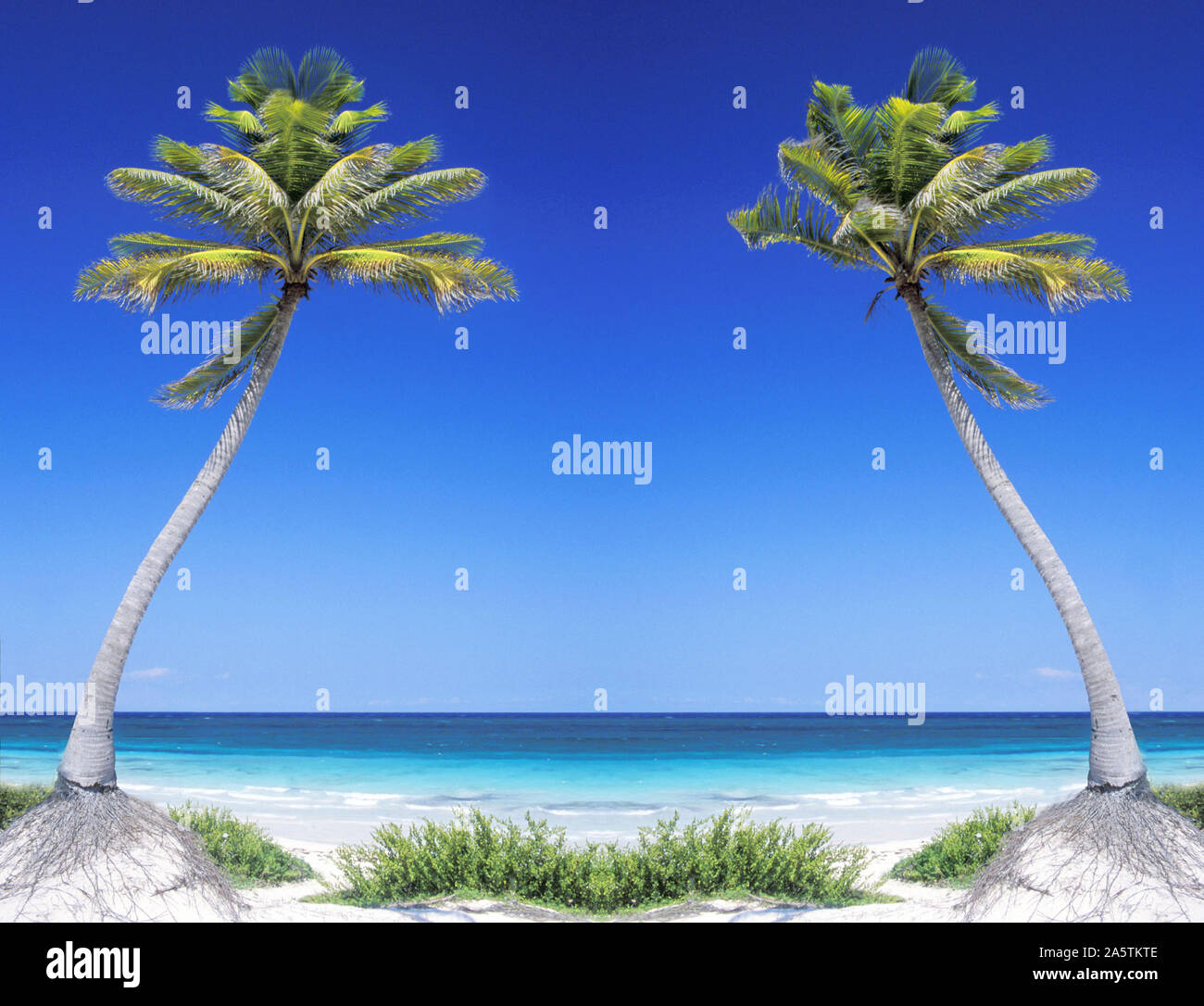 Palmenstrand, Sian Kaan, Yucatan, Mexiko, Foto Stock
