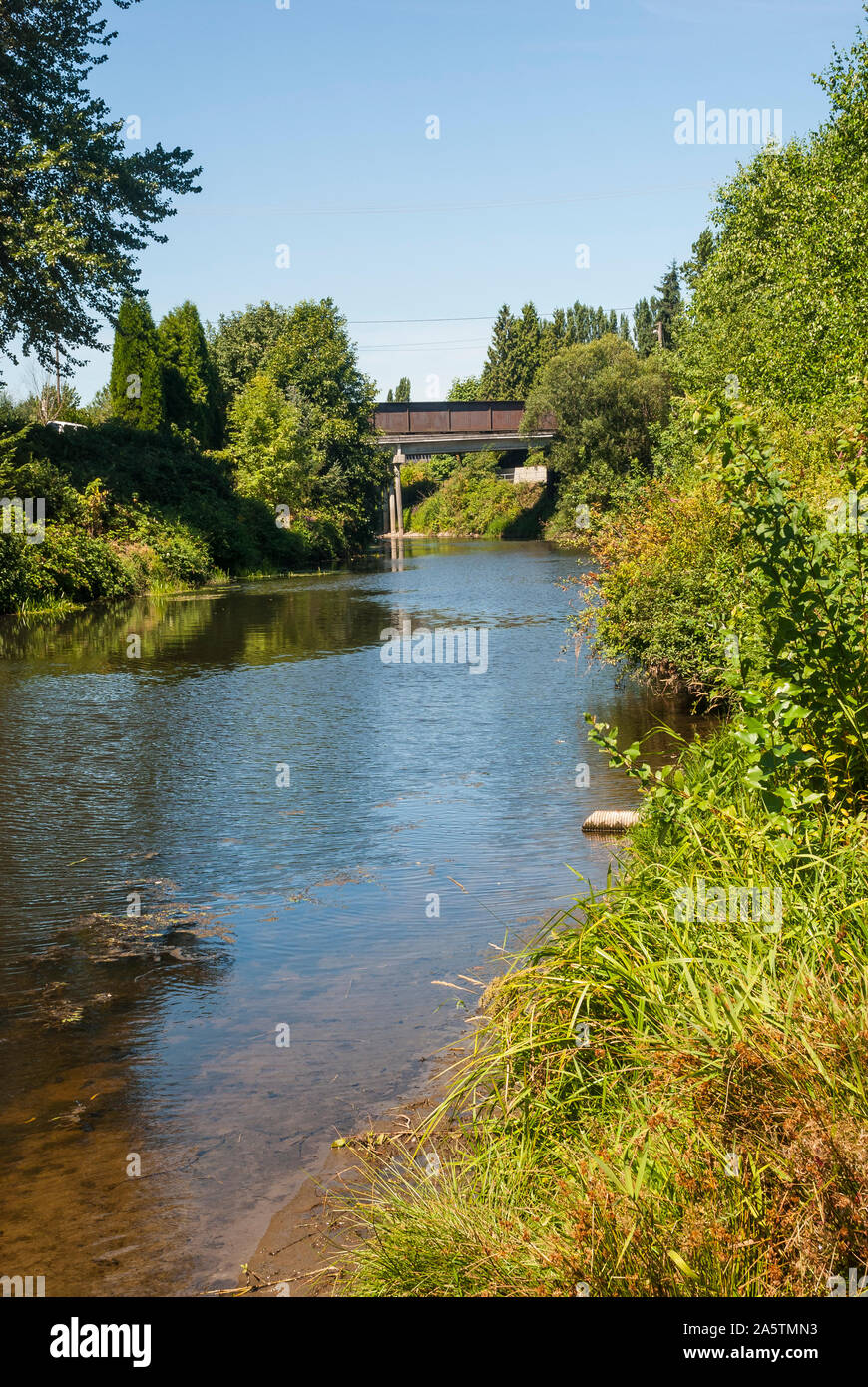 Vista del ponte ferroviario su Sammamish fiume vicino a Gateway Wilmot Park a Woodinville, Washington. Foto Stock