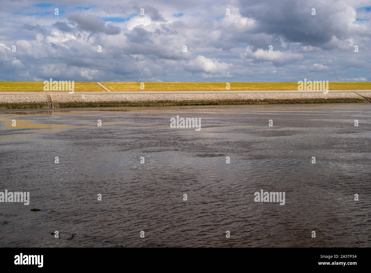 Vista dal mare di Wadden al giallo-verde dyke presso la costa del Mare del Nord. Frisia, drammatica nuvole nel cielo blu, Bassa Sassonia, Germania Foto Stock