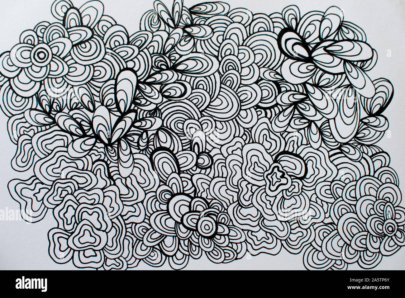 In bianco e nero di sharpie doodle caos Foto Stock