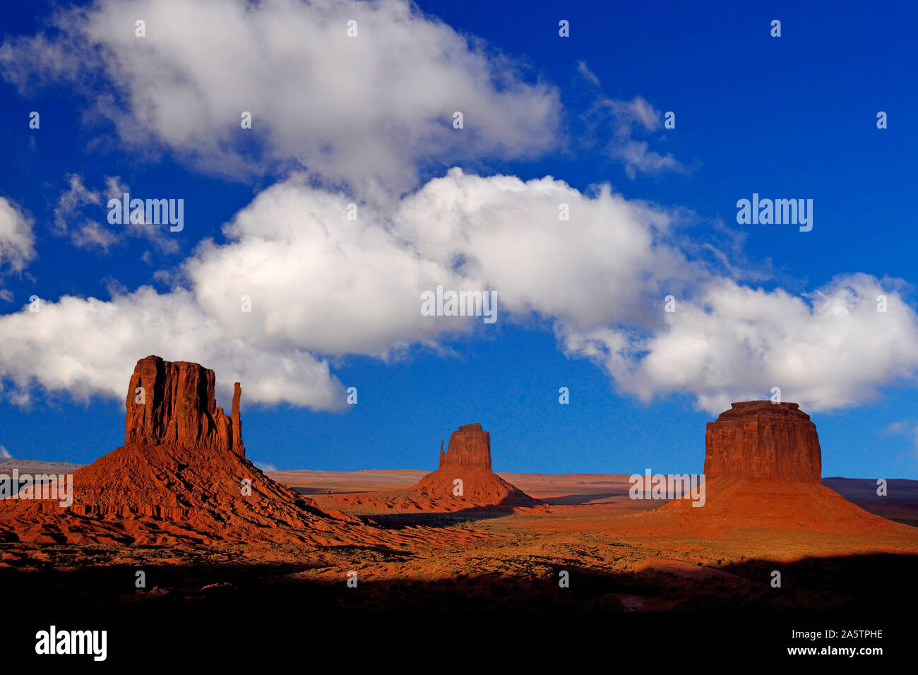 Windkraftanlage / Windraeder / Ostfriesland Foto Stock