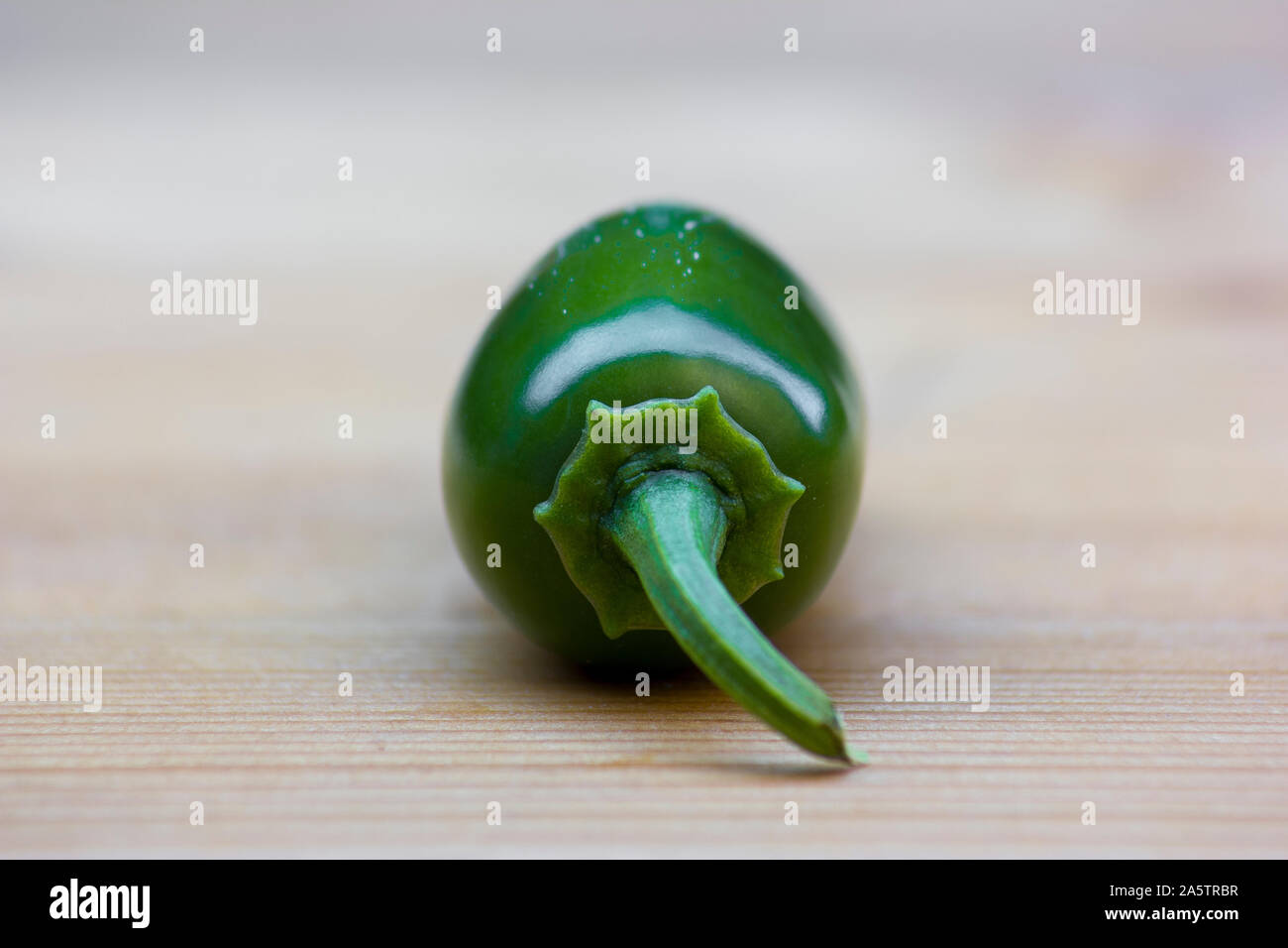 Vicino la foto di un jalapeño Peperoncino (Capsicum annuum) su una superficie di legno. Il peperoncino jalapeno è verde e lucente. Lo sfondo è sfocato e luminose Foto Stock