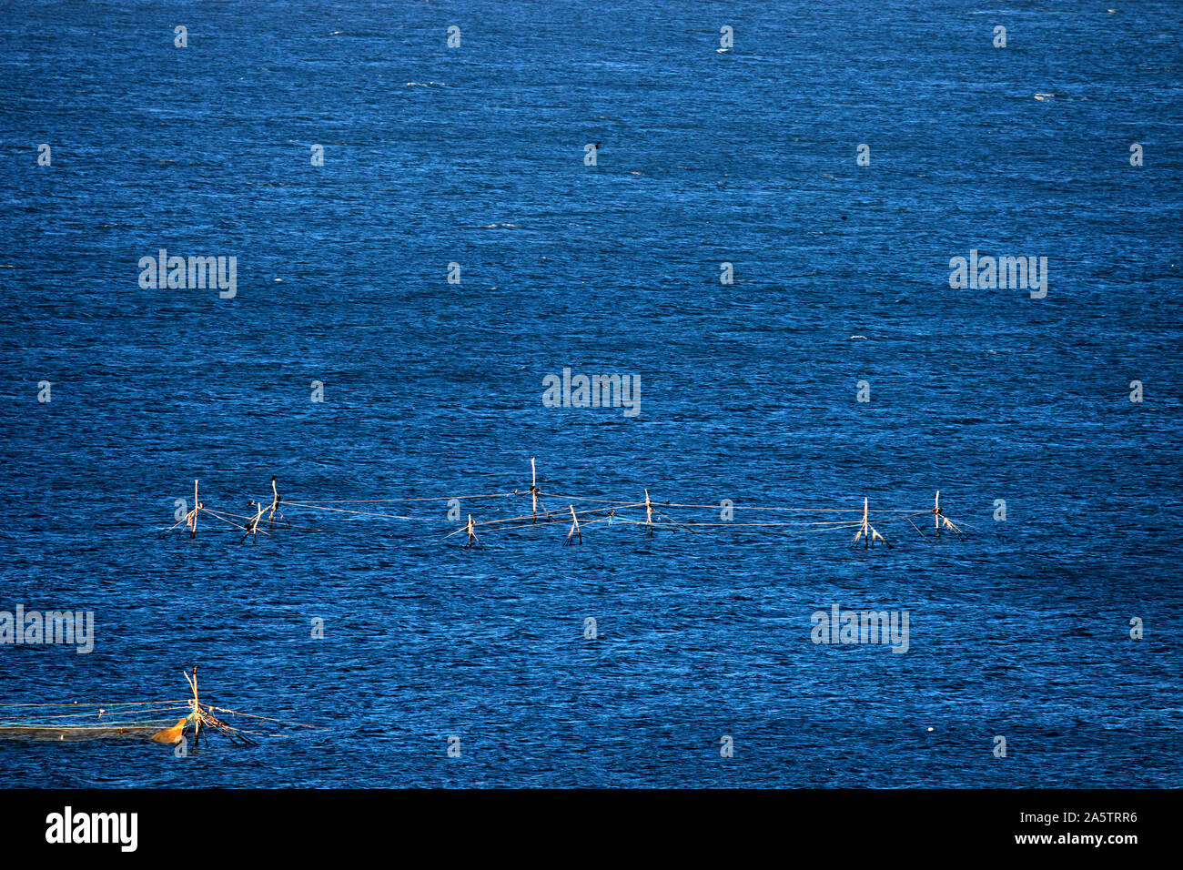 La fissa stazionaria gill net in mare. Il Mar Nero, la Crimea Foto Stock