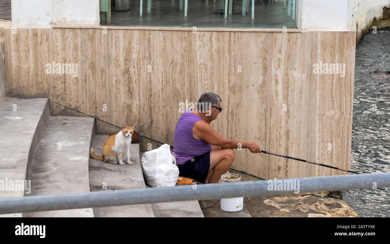 Fisher e cat. Il bianco e il rosso gatto in attesa di pescatore di cattura del pesce a La Valletta il porto dei traghetti che passi. Gatti di Malta. Foto Stock