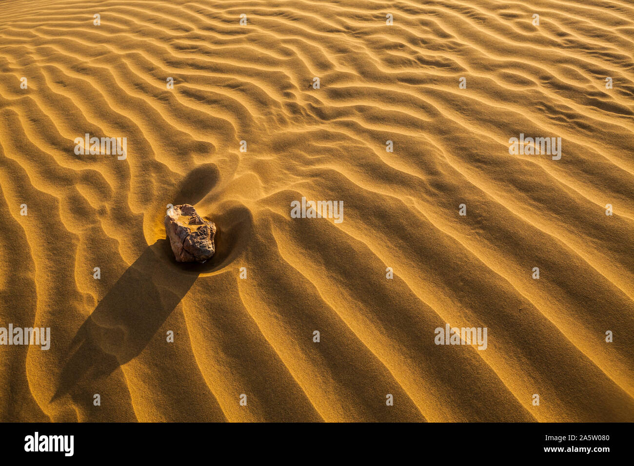 Una roccia su una duna di sabbia distrugge la sabbia ondulata patterns causata dal vento bruciato sabbia. Deserto di Thar, Rajashan, India. Foto Stock