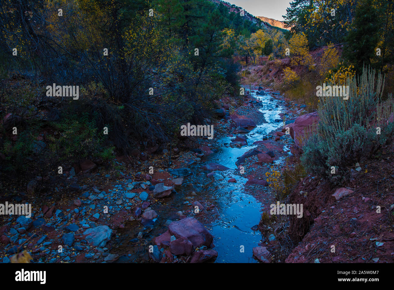 Taylor Creek Trail in autunno. Taylor Creek si trova in una minore porzione nota di Zions National Park tra Cedar City e San Giorgio, Utah, Stati Uniti d'America. Foto Stock