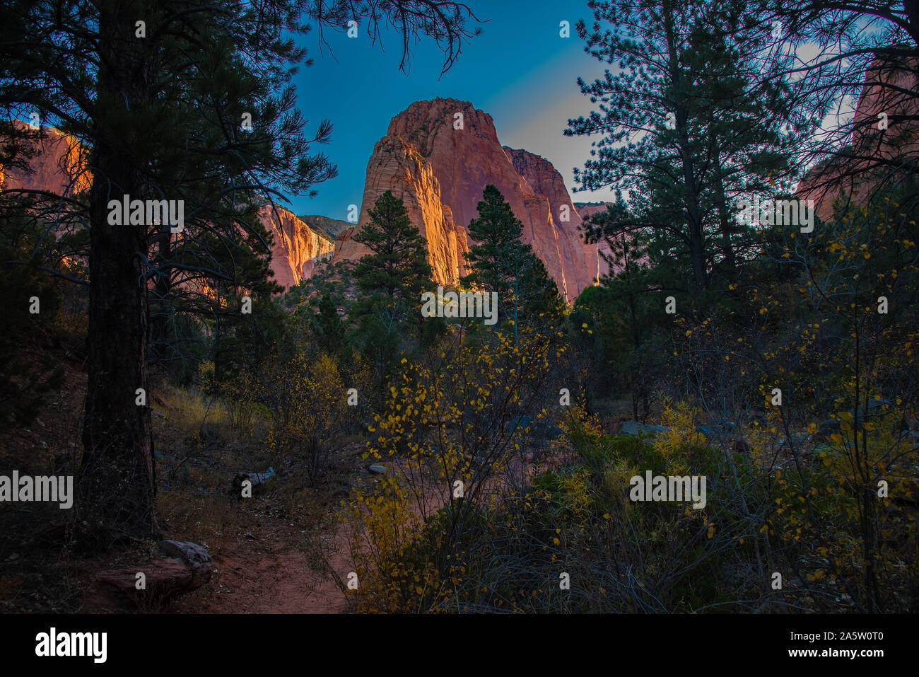 Taylor Creek Trail in autunno. Taylor Creek si trova in una minore porzione nota di Zions National Park tra Cedar City e San Giorgio, Utah, Stati Uniti d'America. Foto Stock
