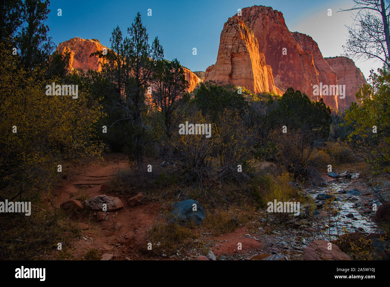 Taylor Creek Trail in autunno. Taylor Creek si trova in una minore porzione nota di Zions National Park tra Cedar City e San Giorgio, Utah, Stati Uniti d'America. Foto Stock