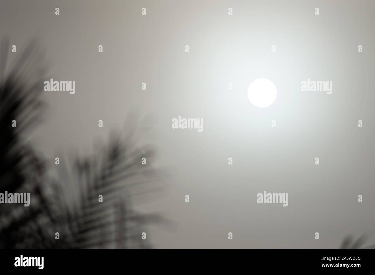 Queretaro, Veracruz, Messico - 27 Gennaio 2014: Sun su una mattinata nebbiosa. Foto Stock