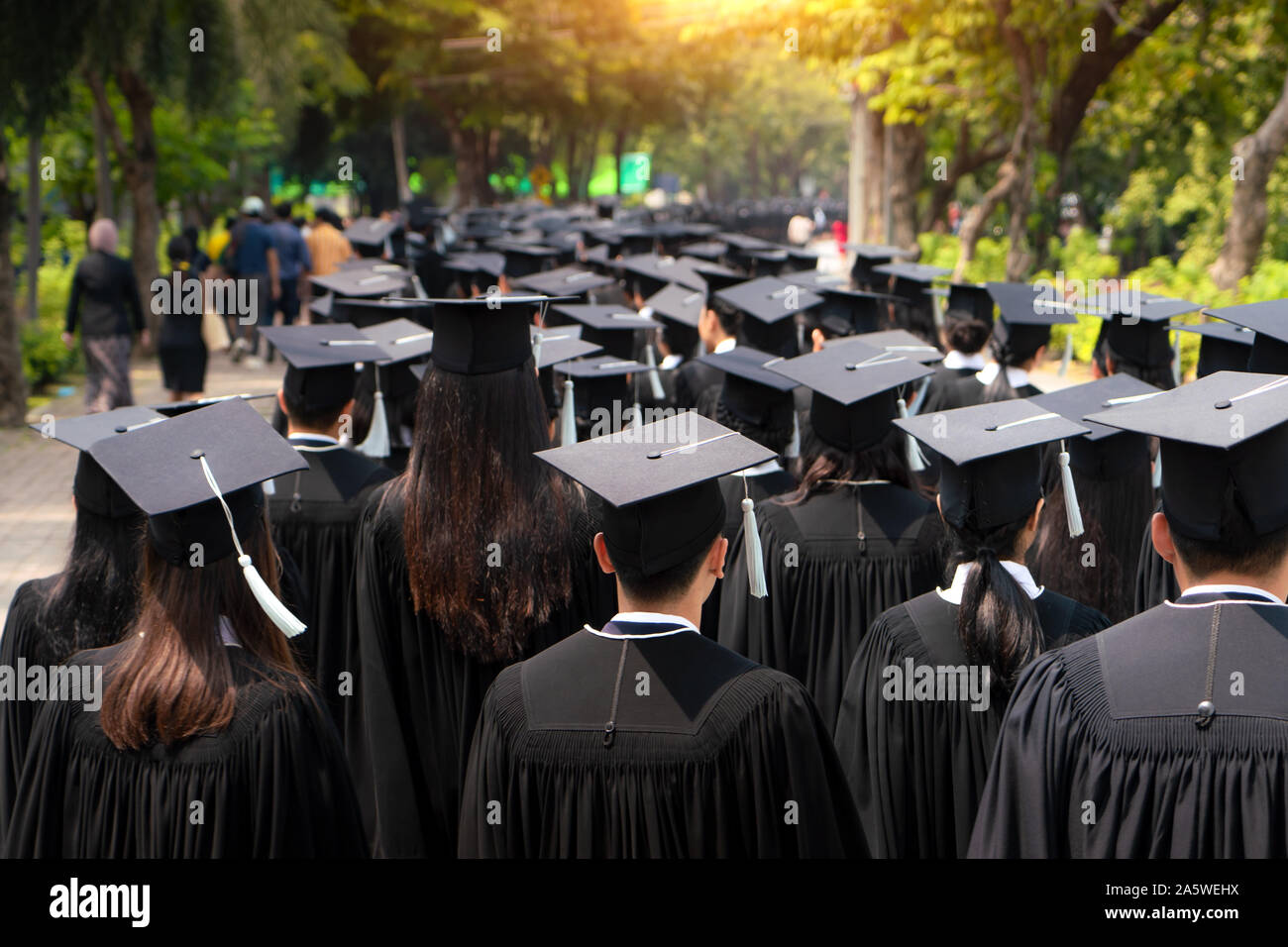 Vista posteriore del gruppo di laureati in abito nero linee fino ai gradi in università cerimonia di laurea. Concetto di istruzione congratulazioni, stu Foto Stock